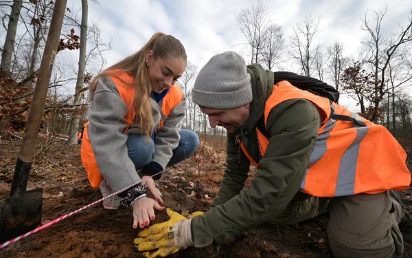 Zwei Personen in Warnwesten pflanzen einen Baum