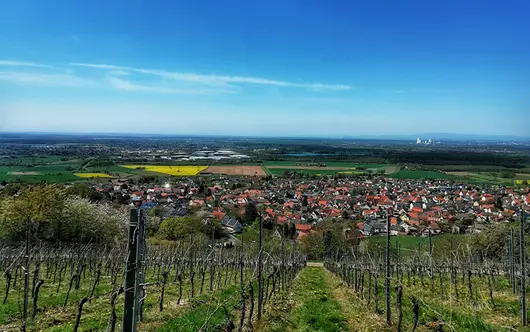 Hainburg, Luftaufnahme