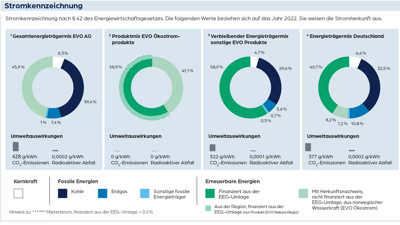 Diagramm Stromkennzeichnung für das Jahr 2022